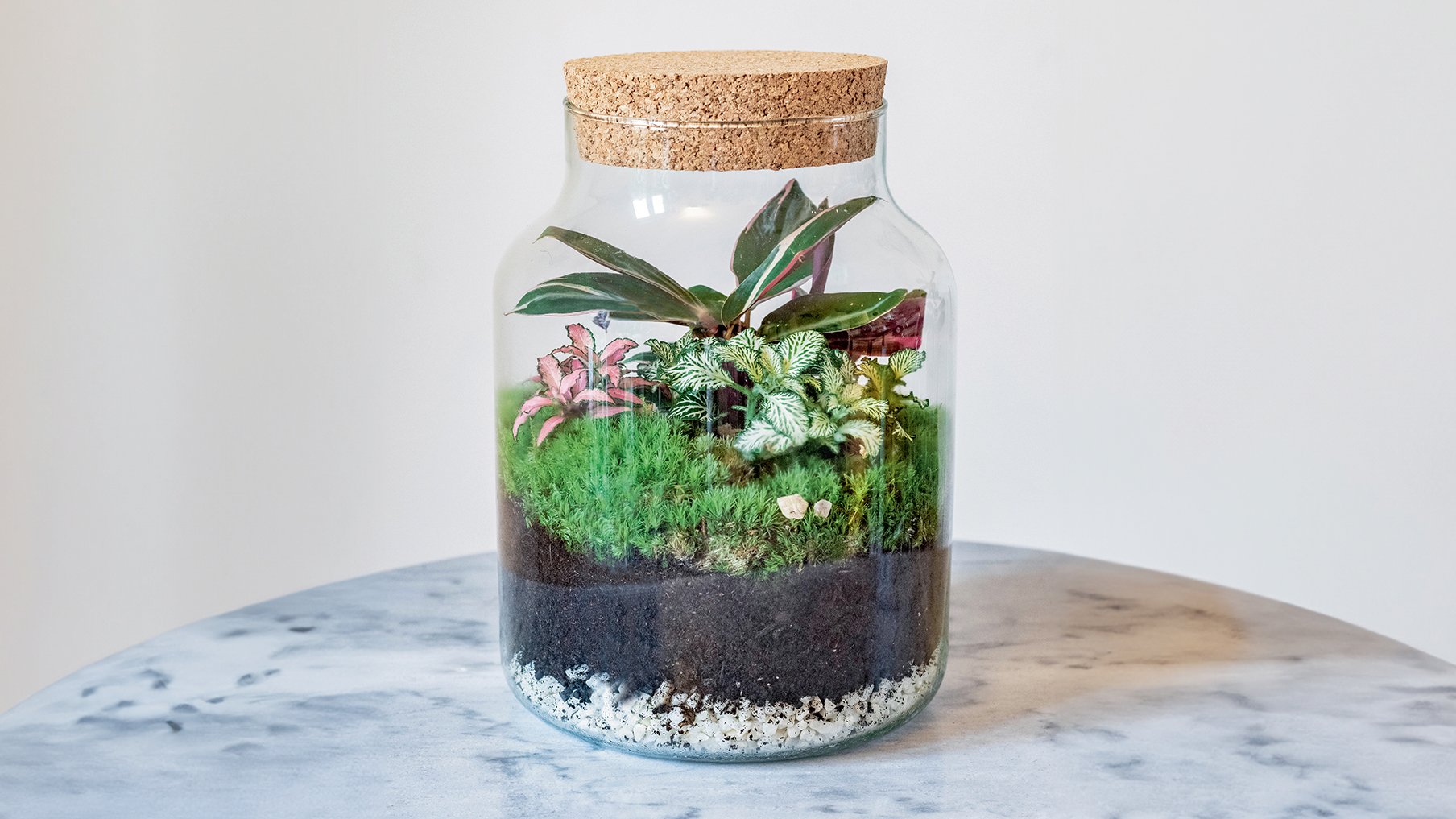 A terrarium with plants inside on a table