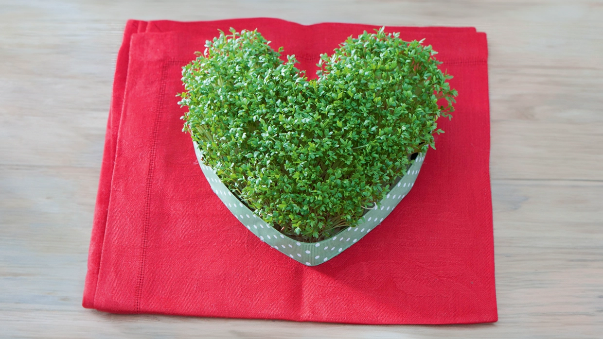 A photo of a cress heart 